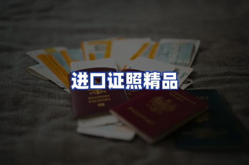 进口证件页面制证